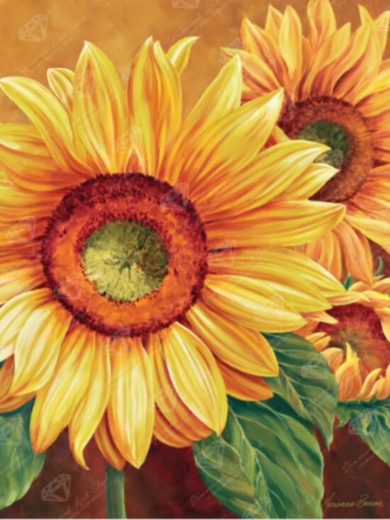 Diamond Art Club Other - DAC | We Are Sun